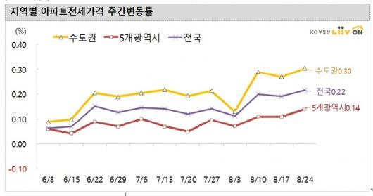 머니투데이