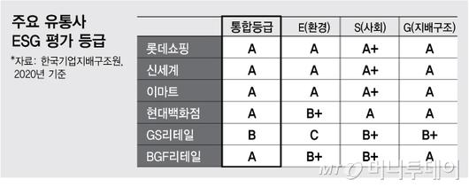 머니투데이