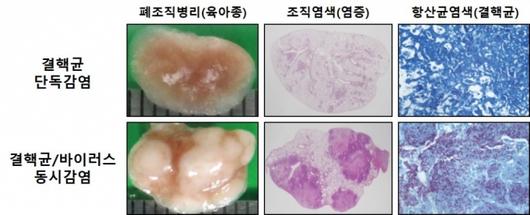 머니투데이