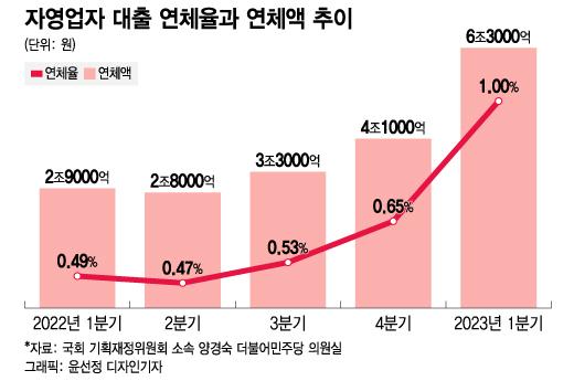 머니투데이