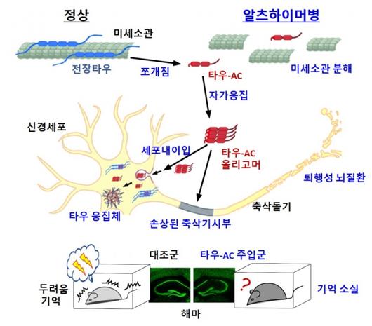 머니투데이