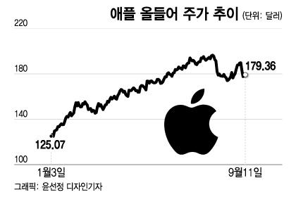 머니투데이