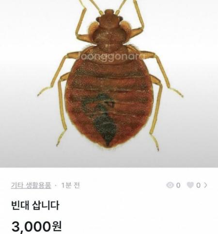 머니투데이