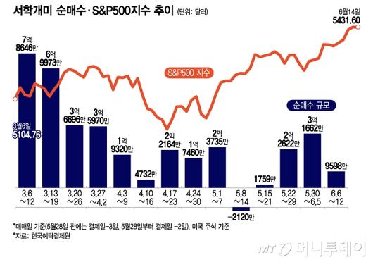 머니투데이