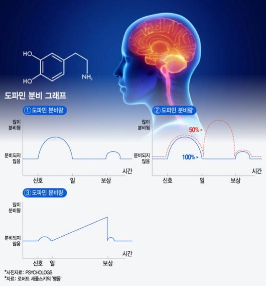 머니투데이