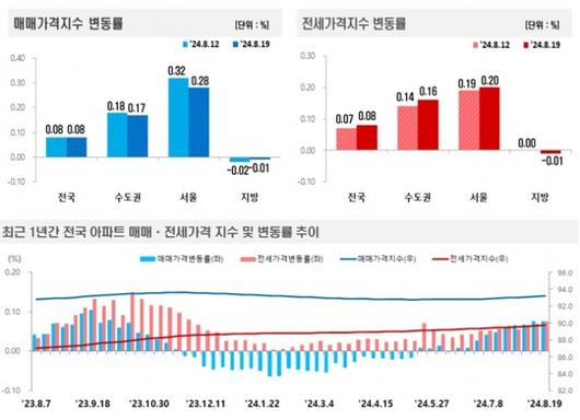 머니투데이