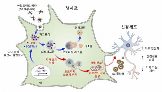 머니투데이