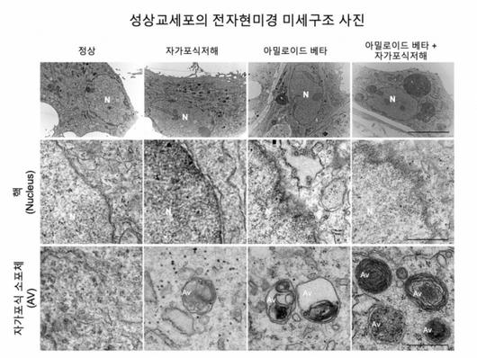 머니투데이