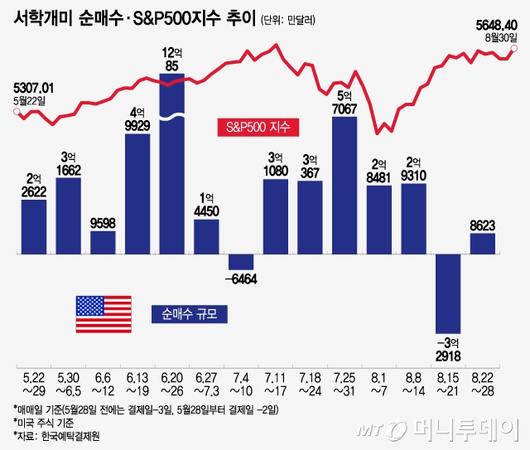 머니투데이