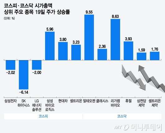 머니투데이