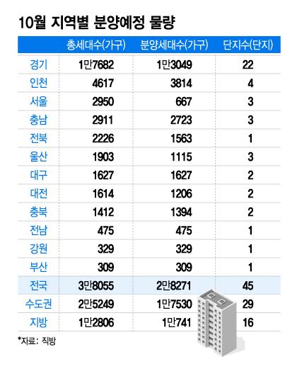 머니투데이