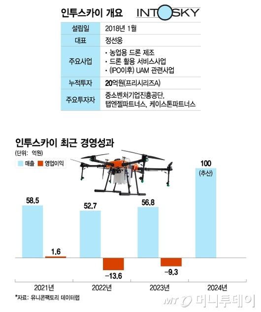 머니투데이