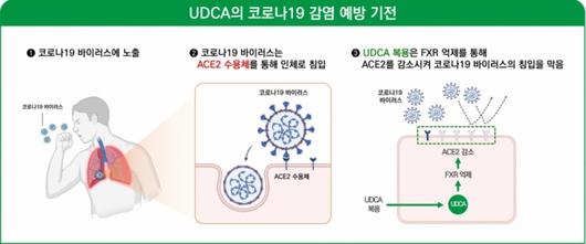 머니투데이