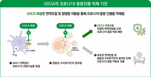 머니투데이