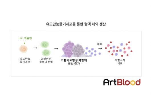 머니투데이