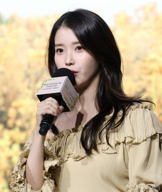 머니투데이