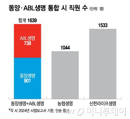머니투데이