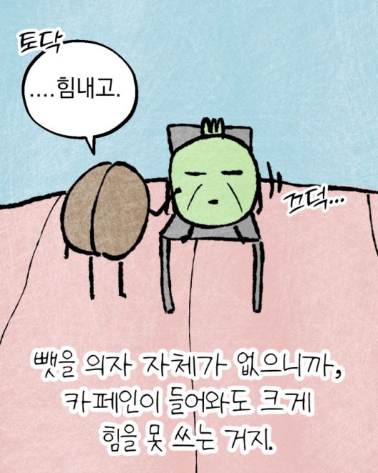 머니투데이