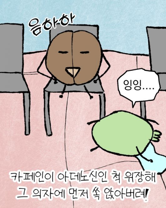 머니투데이