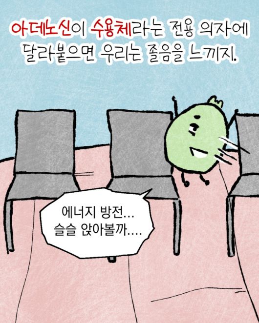 머니투데이