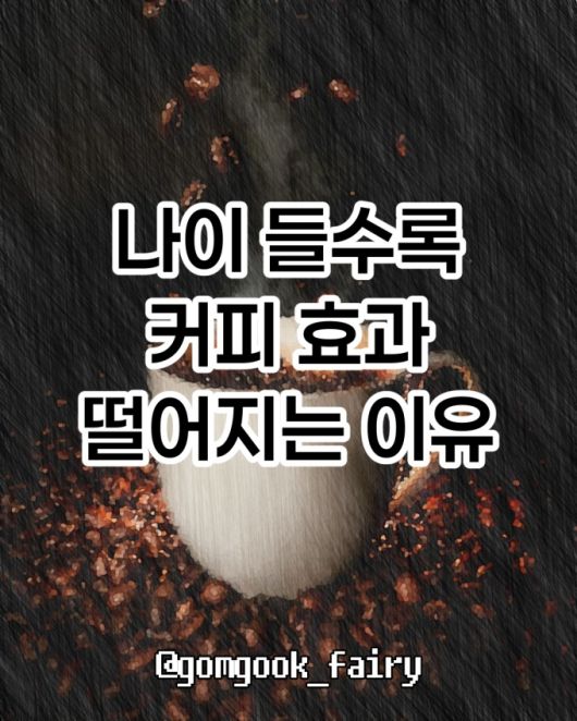머니투데이