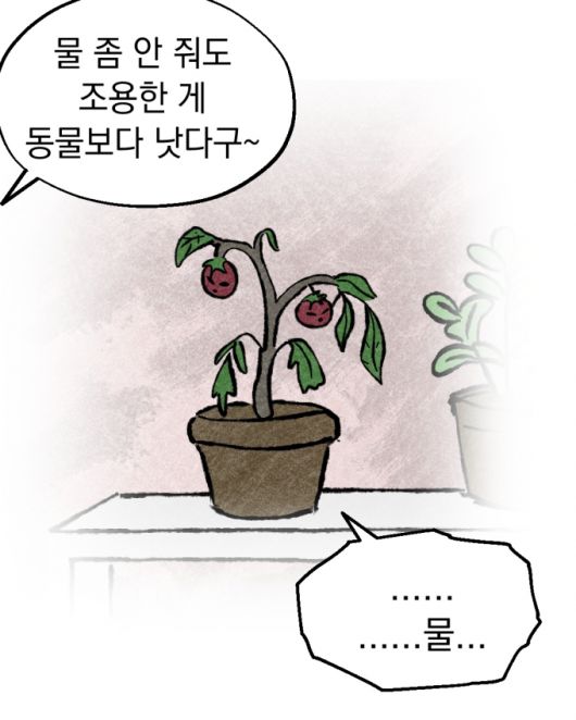 머니투데이