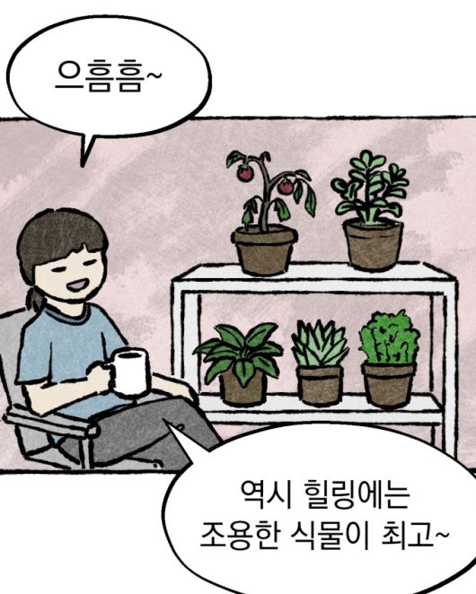 머니투데이
