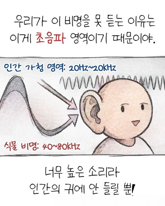 머니투데이