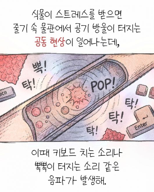 머니투데이