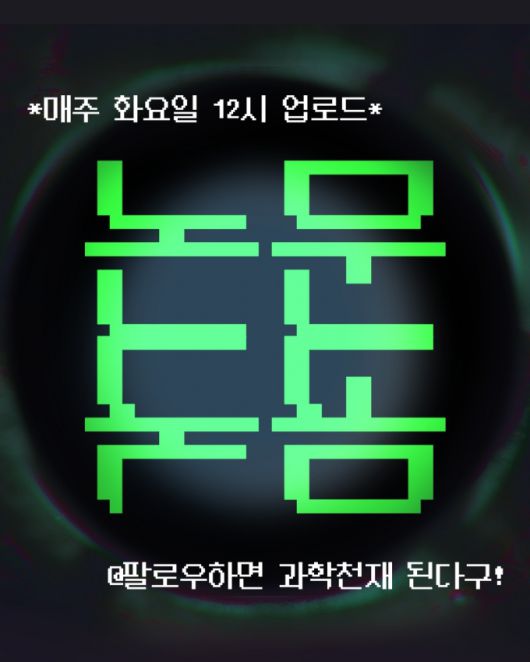머니투데이