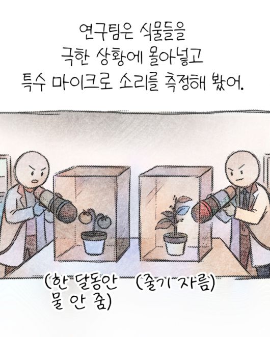 머니투데이