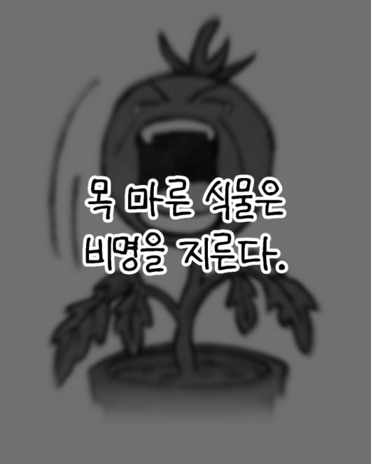 머니투데이