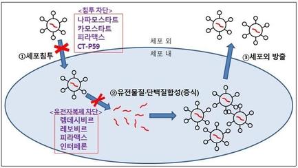 조선비즈