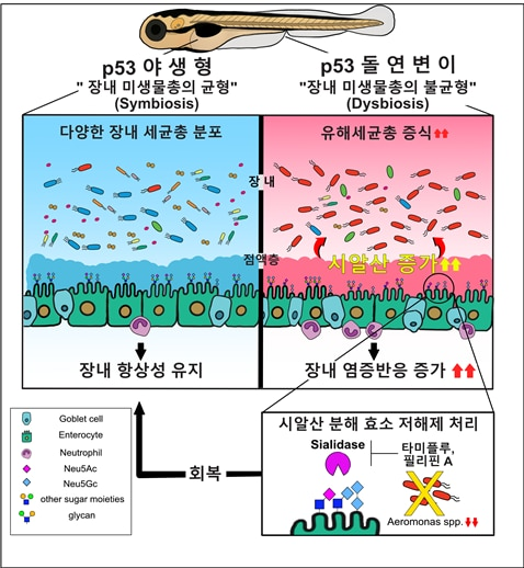 조선비즈