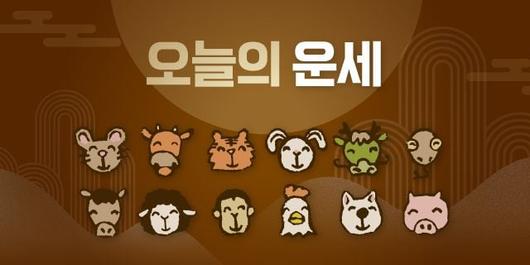 조선비즈