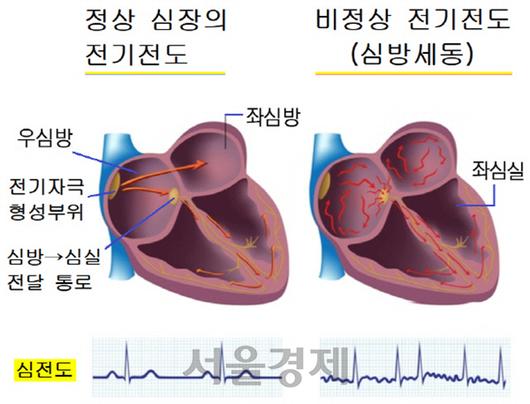 서울경제