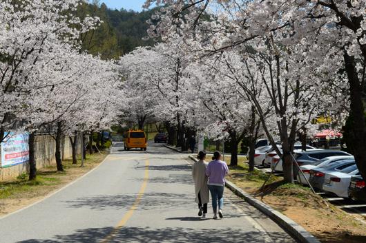 서울경제