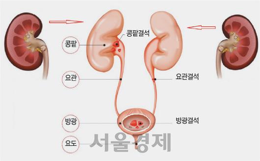 서울경제