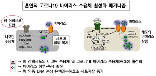 서울경제