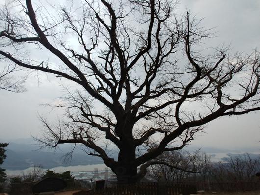 서울경제