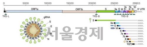 서울경제