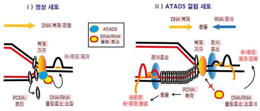 서울경제