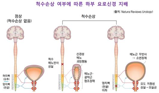 서울경제