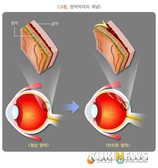 쿠키뉴스