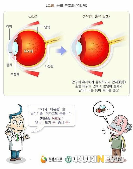 쿠키뉴스