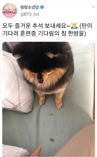 쿠키뉴스