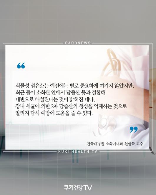 쿠키뉴스