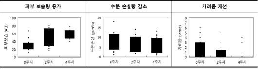 쿠키뉴스