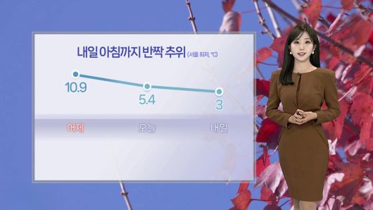 연합뉴스TV