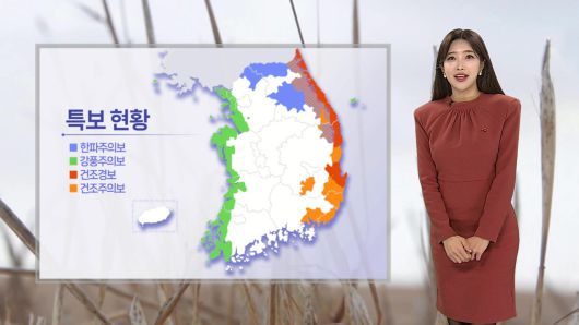 연합뉴스TV